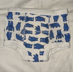Hanna Andersson Blue Bear Training Underwear Organic Cotton
